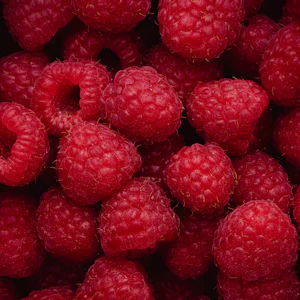 Frambuaz